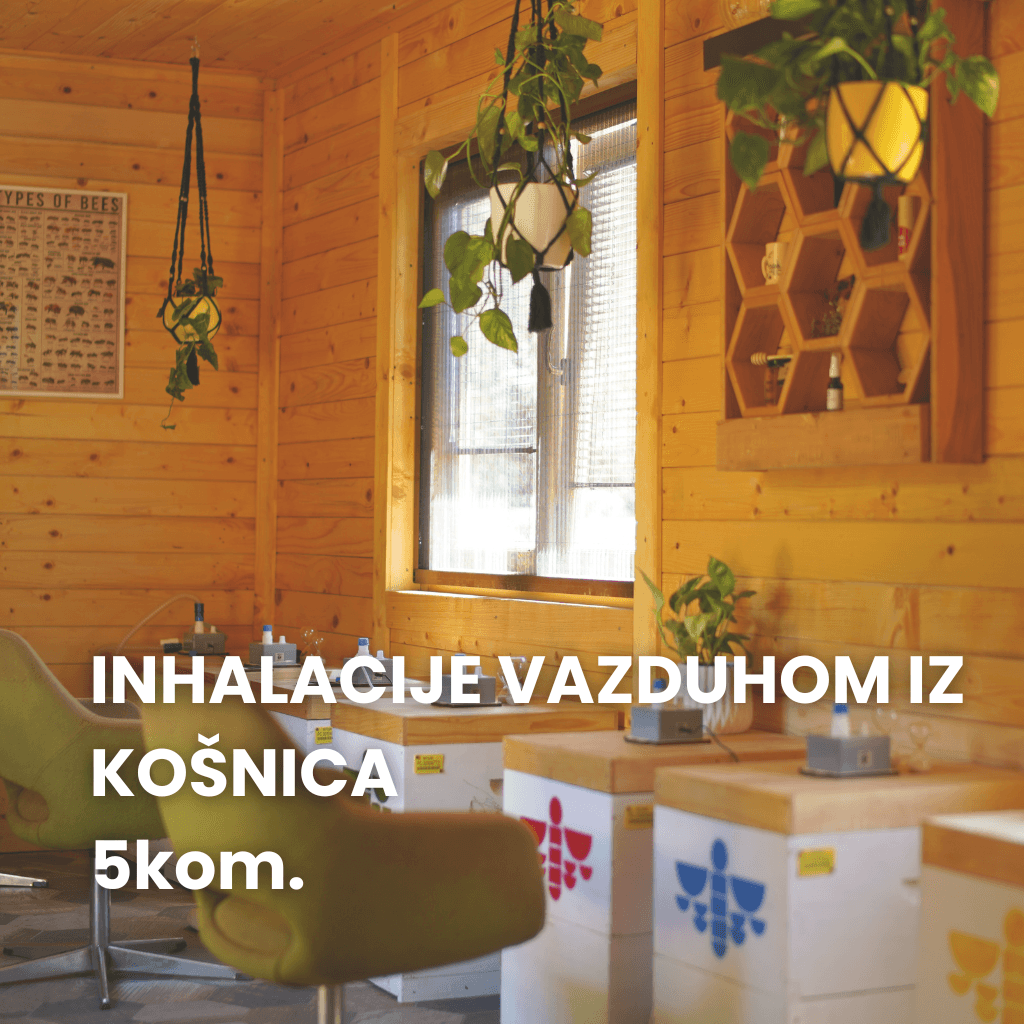 Inhalacija u API KOMORI 5 kom - Bee Wellness image 1